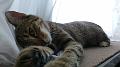 2016-07-23 12.39.04 Inka